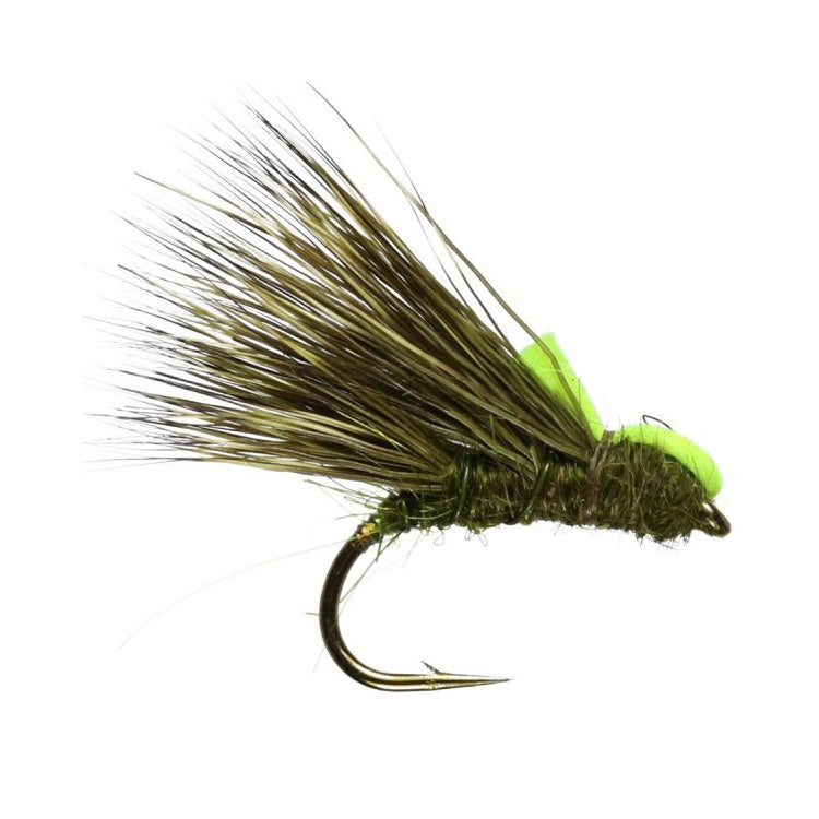 Olive Sedgehog Flies