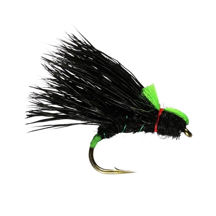 Black Sedgehog Flies