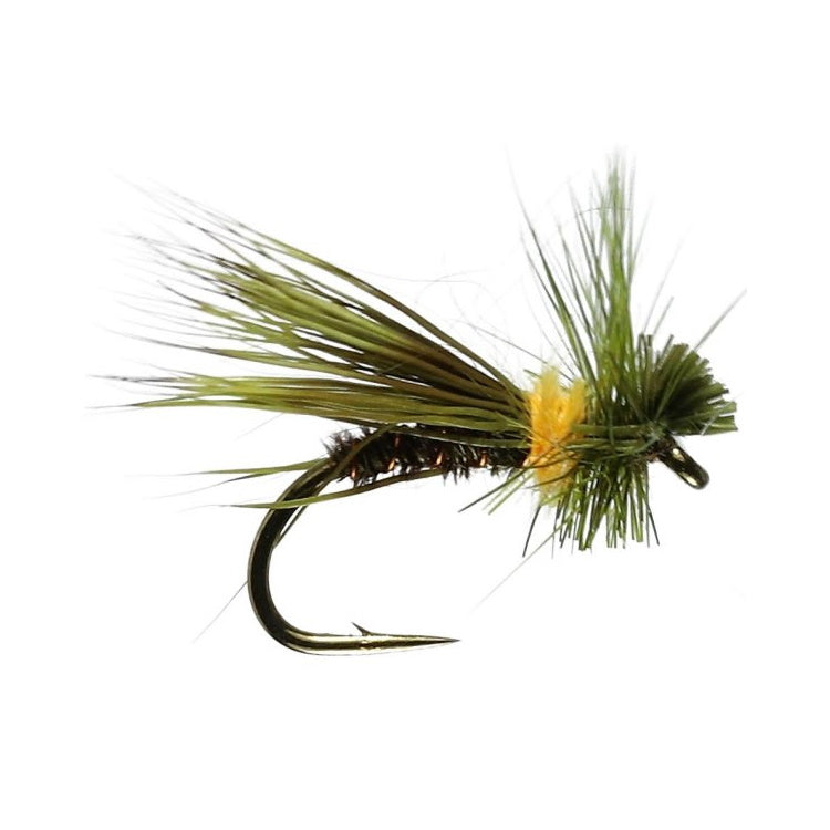 Olive Drop Sedge Flies