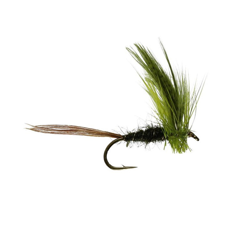 Olive Drake Mayfly