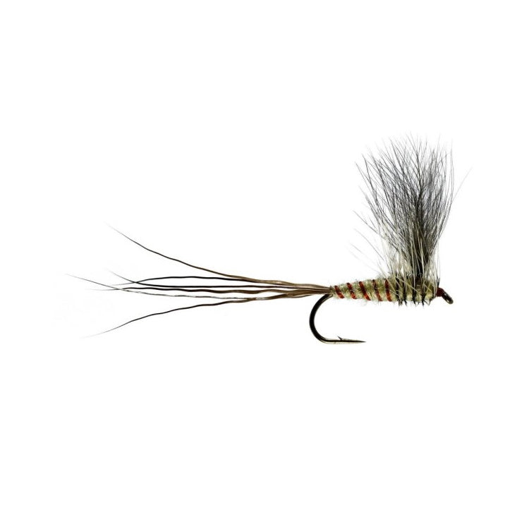 CDC Mayfly Dun Flies | John Norris