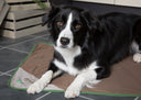 Scruffs Insect Shield Dog Blanket