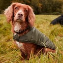 Barbour Baffle Quilt Dog Coat - Olive