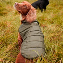 Barbour Baffle Quilt Dog Coat - Olive