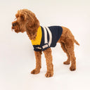 Joules Coastal Dog Jumper