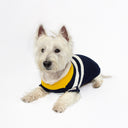 Joules Coastal Dog Jumper