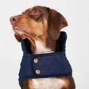 Joules Quilted Dog Coat - Navy