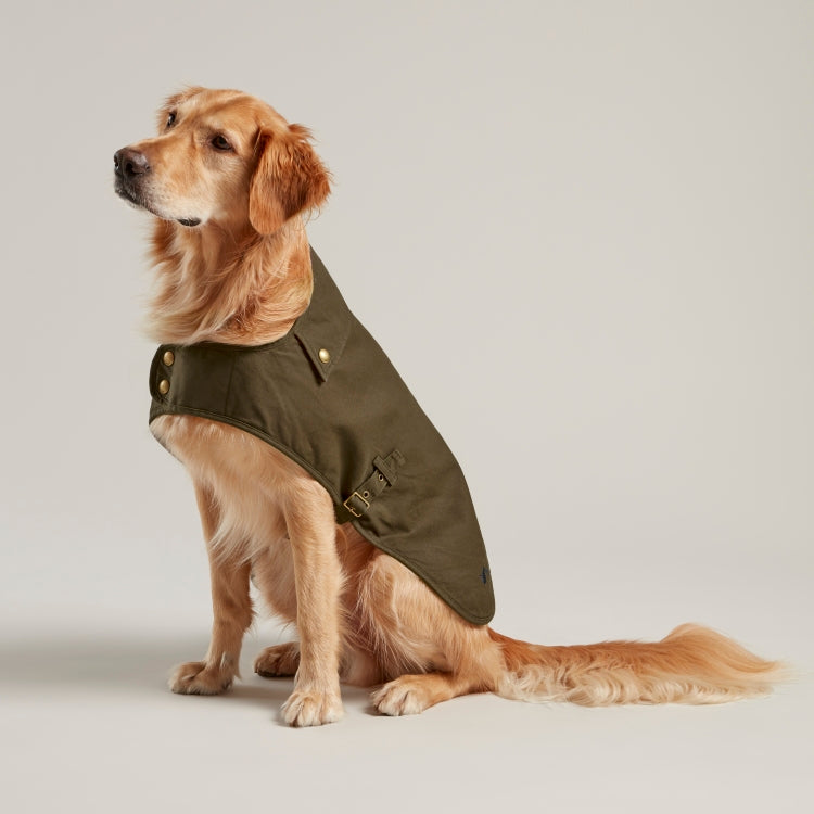 Dog coat hotsell golden retriever