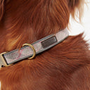 Barbour Reflective Tartan Dog Collar