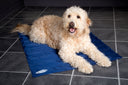 Scruffs Dog Cool Mat