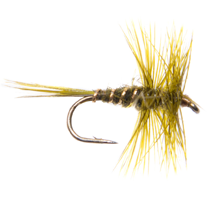 Dark Olive Hackled Dry Flies