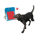 Rosewood Agility Flyball