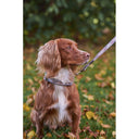 Barbour Reflective Tartan Dog Lead