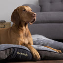 Scruffs Chester Dog Mattress - Graphite