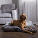 Scruffs Chester Dog Mattress - Graphite