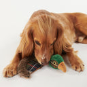 Barbour Pheasant Dog Toy