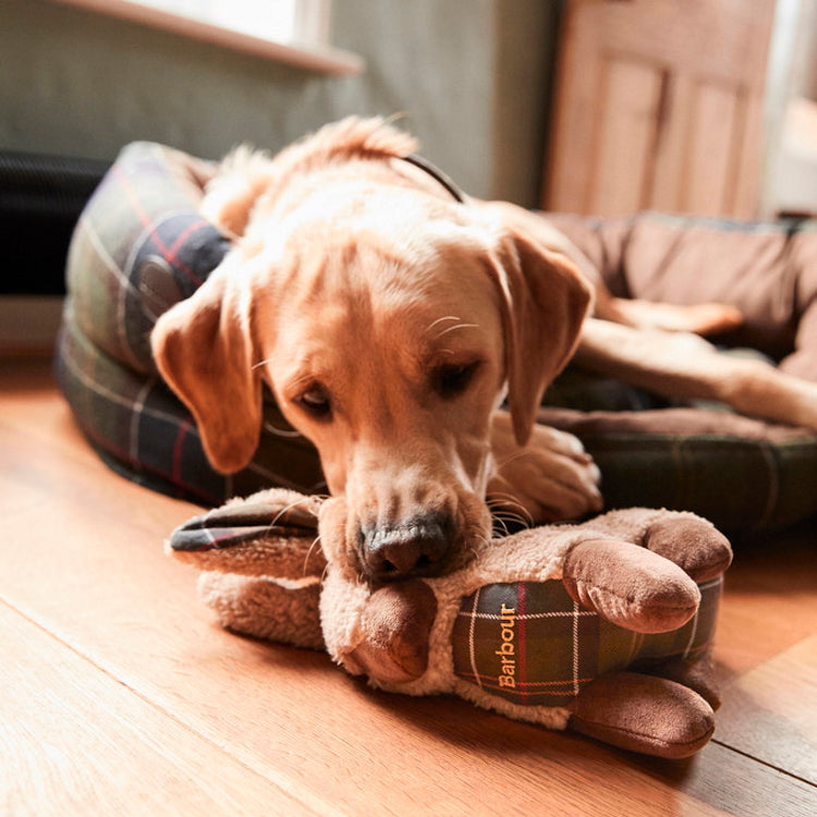 Barbour Rabbit Dog Toy