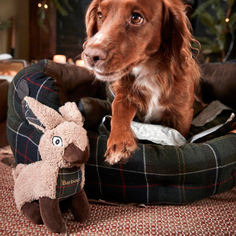 Barbour Rabbit Dog Toy