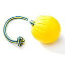 Starmark Swing and Fling Foam Ball Dog Toy