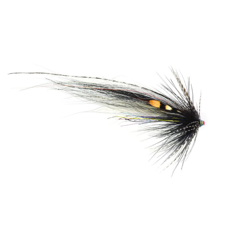 Frodin Flies TTT Nobody Series - Zebra