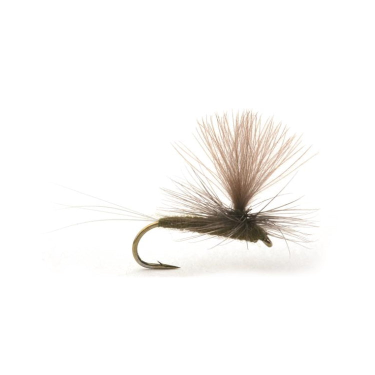 Baetis Dark Olive Flies