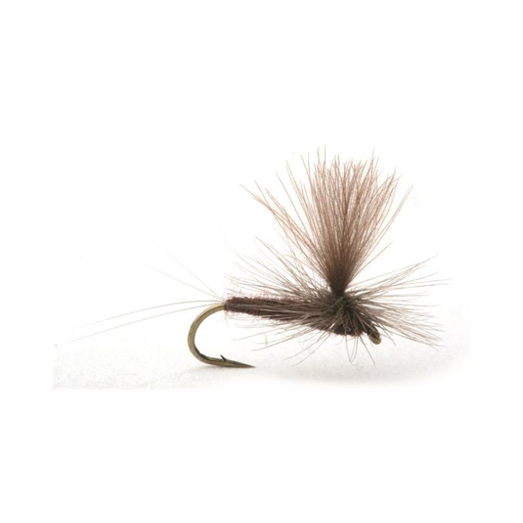 Vespertina Flies