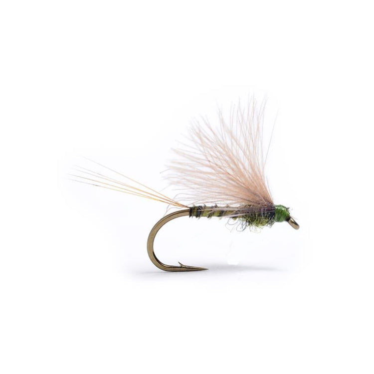 CDC Biot Dun Emerger Dark Olive Flies