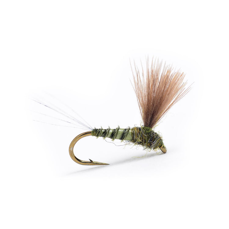 CDC  Biot Comparadun Grey Olive Flies