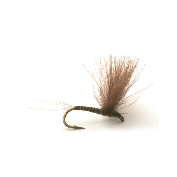 CDC Biot Comparadun Olive Flies