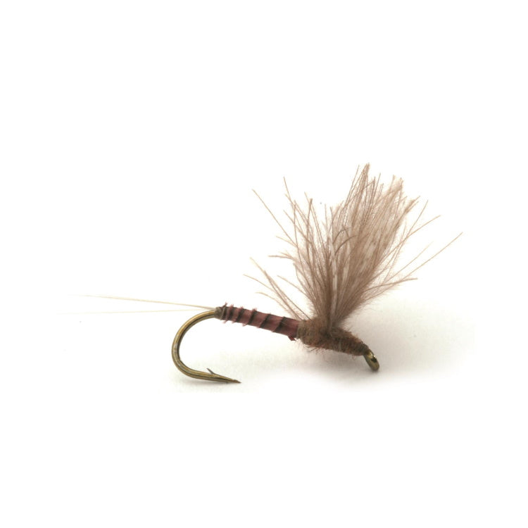 CDC Biot Comparadun Quill G Flies