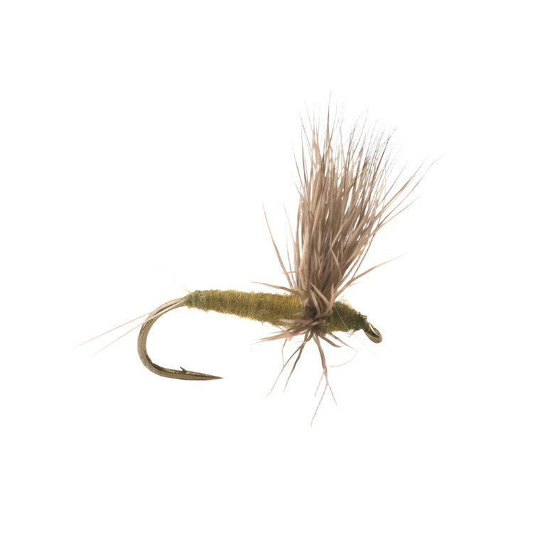 Comparadun BWO Flies