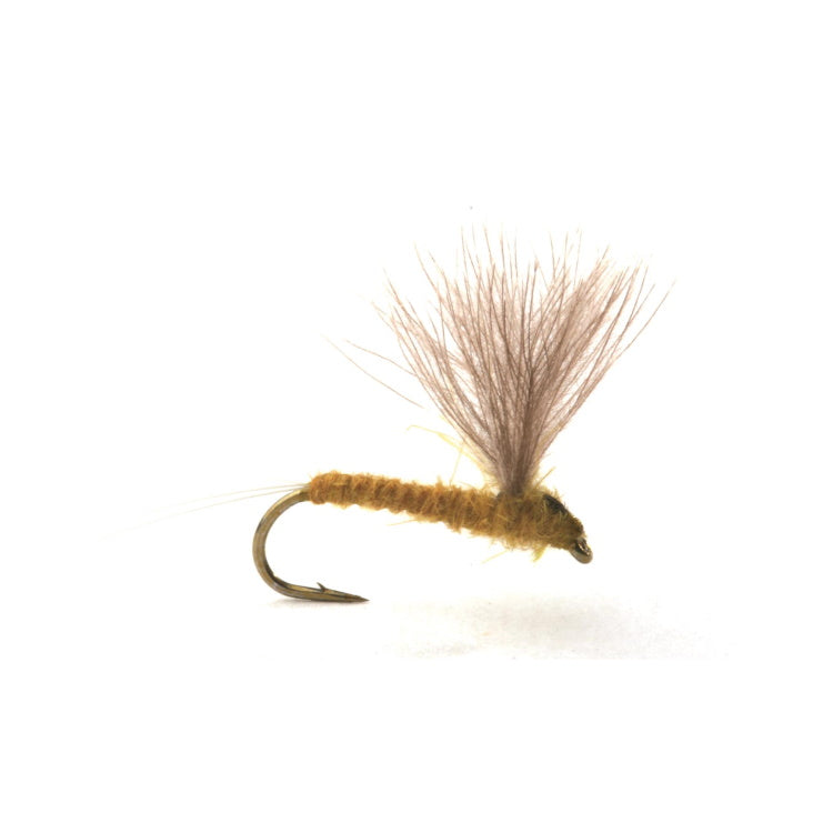 Runes CDC Nohackle L. Olive Flies