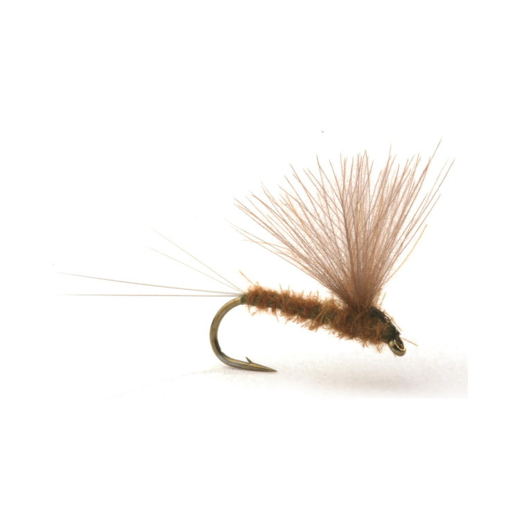 Runes CDC Nohackle Olive Flies