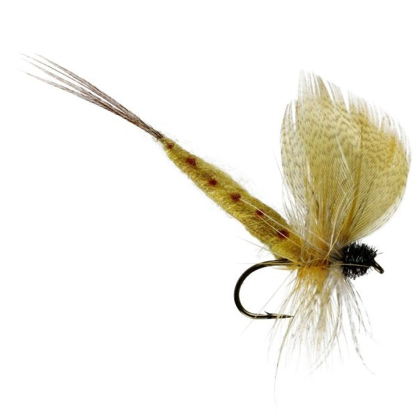 Detached Body Mayfly